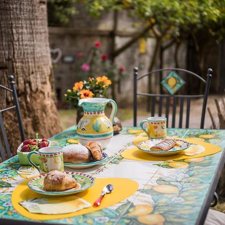 Casa Beatrice Bed and Breakfast Σορέντο Εξωτερικό φωτογραφία