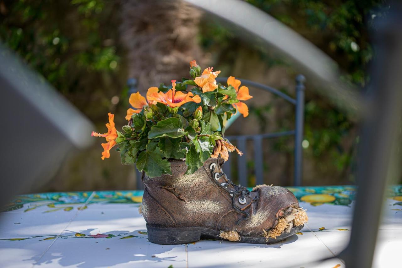 Casa Beatrice Bed and Breakfast Σορέντο Εξωτερικό φωτογραφία