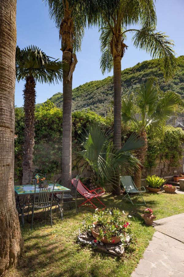 Casa Beatrice Bed and Breakfast Σορέντο Εξωτερικό φωτογραφία
